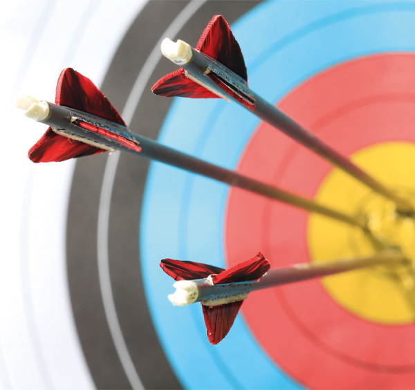 Archery Activity Target