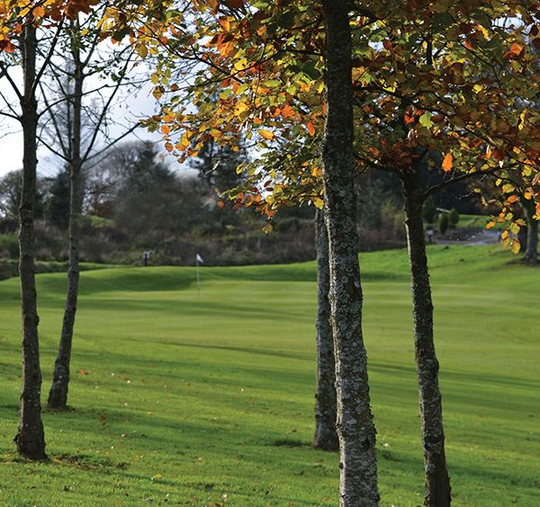Wintergolf