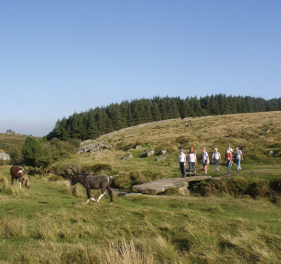 Explore Dartmoor with Our Guided Walks - Manor & Ashbury Resorts