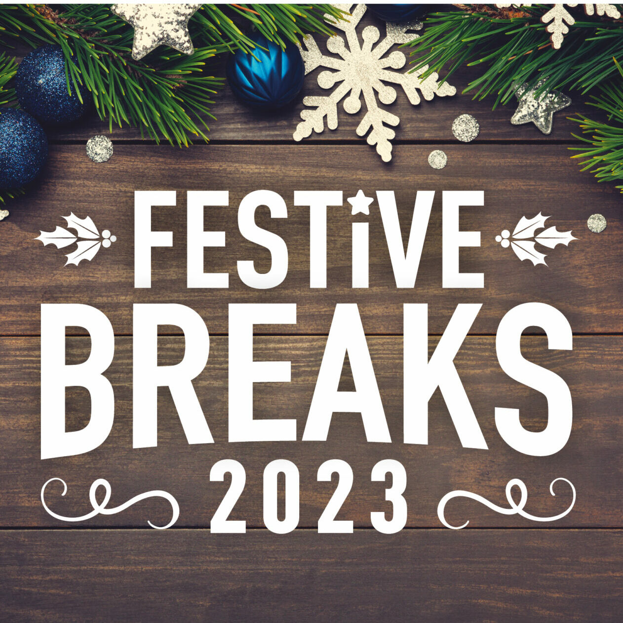 Festive Breaks