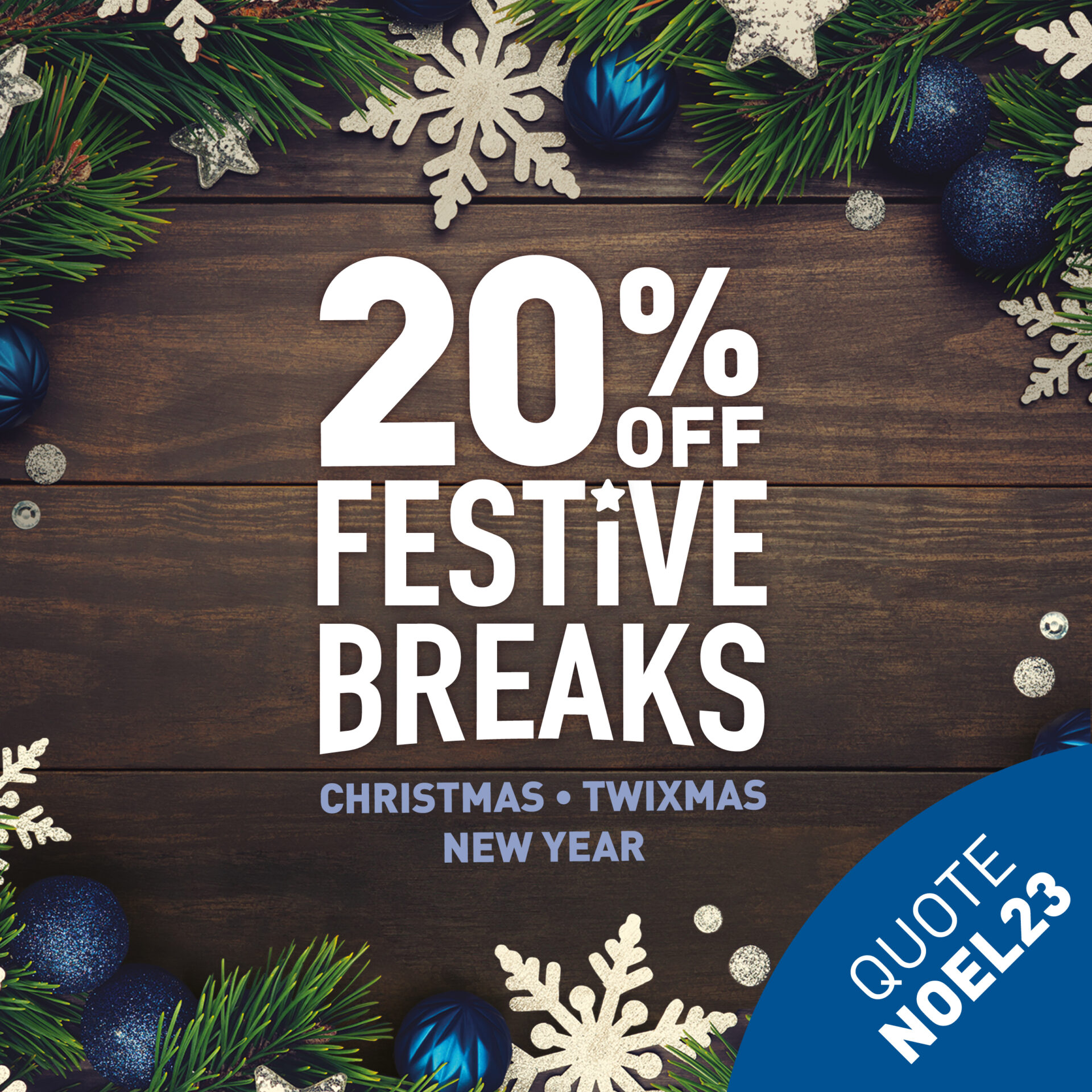 20% OFF FESTIVE