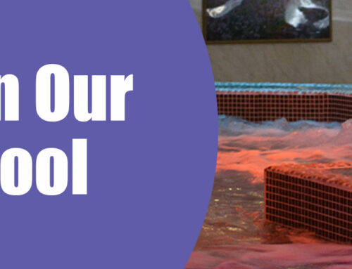 Unwind in Our Hydrotherapy Pool for the Ultimate Relaxation