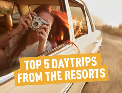 Top 5 Day Trips from Manor & Ashbury Resorts