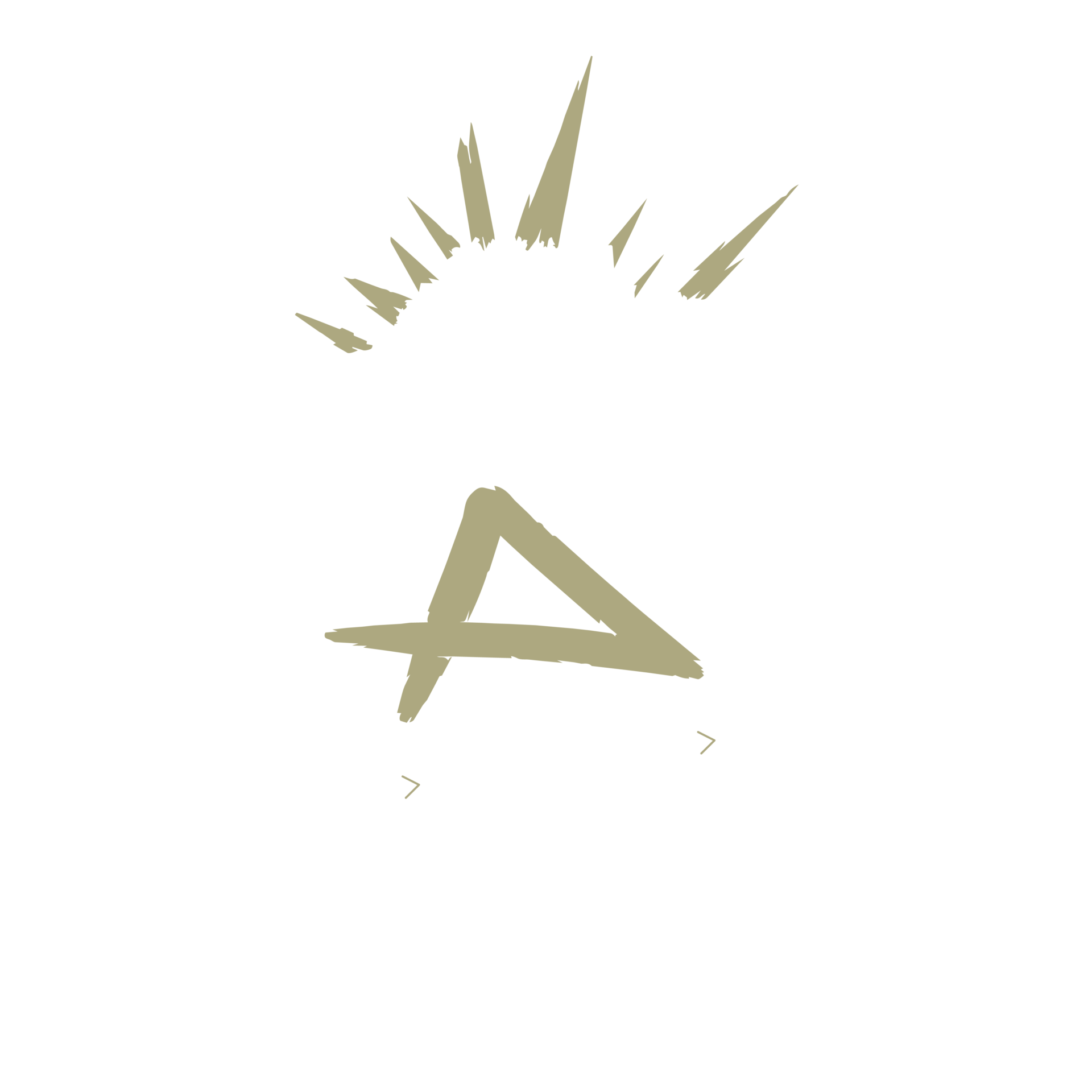 ACtivity barn